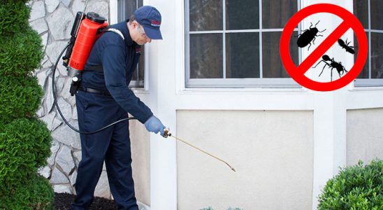 Kocaeli Dezenfeksiyon böcek ilaçlama ve haşere kontrolü — ilaclama-tr.com